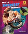 The 10 Smartest Animals - Rachel Rose - 9798892326414