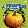 A Pumpkin Grows - Rex Ruby - 9798892327763