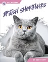British Shorthairs - Abby Doty - 9798892503464