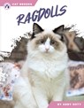 Ragdolls - Abby Doty - 9798892503518
