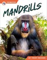 Mandrills - Trudy Becker - 9798892507974