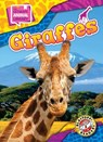 Giraffes - Janie Scheffer - 9798893042382