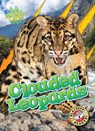 Clouded Leopards - Shannon Anderson - 9798893042542