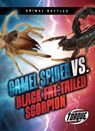 Camel Spider vs. Black Fat-Tailed Scorpion - Nathan Sommer - 9798893044133