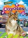 Coyotes - Mari C. Schuh - 9798893044270