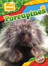 Porcupines - Janie Scheffer - 9798893044713