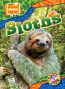 Sloths - Janie Scheffer - 9798893044744