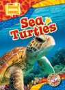 Sea Turtles - Chris Bowman - 9798893047974