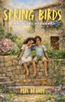 Spring Birds: Finding Forgiveness in a Broken World - Max Brande - 9798893072648