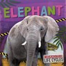 Elephant - E.C. Andrews - 9798893593952