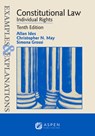 Examples & Explanations for Constitutional Law: Individual Rights - Allan Ides - 9798894101859