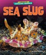 Sea Slug - Janie Scheffer - 9798895770474