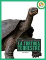 La Tortuga Terrestre - Jen Frantz - 9798895813218