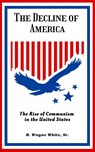 The Decline of America - H Wayne White - 9798985027709