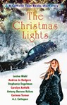 The Christmas Lights - Catholic Teen Books - 9798985348507