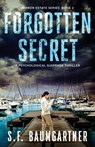 Forgotten Secret - S. F. Baumgartner - 9798987949498