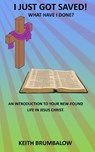 I Just Got Saved!: What Have I Done? - Raymond K. Brumbalow - 9798989650613
