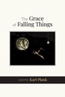 The Grace of Falling Things - Karl Plank - 9798990747449