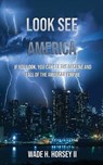 Look See America: If you look, you can see the decline and fall of the American Empire - Wade H. Horsey - 9798992956108