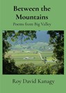 Between the Mountains - Roy David Kanagy - 9798993655307