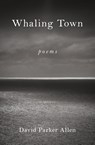 Whaling Town - David Parker Allen - 9798999378903