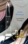 Laserkwarts punctuur - Andre Molenaar - 9789402116052