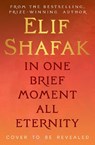 In One Brief Moment All Eternity - Elif Shafak - 9780241745465