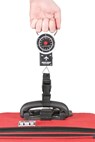 Bagage Weegschaal - Kikkerland - 0612615040830