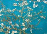 Almond Blossom - Vincent van Gogh (1000) - Identity Games - 0628136601535