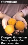 Erdsegen: Vertrauliche Sonntagsbriefe eines Bauernknechtes - Peter Rosegger - 4064066111618