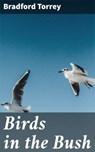 Birds in the Bush - Bradford Torrey ; Tessa Benson - 4064066223717
