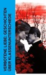 Verbotene Liebe: Geschichten über Klassenunterschiede - Jane Austen ; Charles Dickens ; Emily Brontë ; Charlotte Brontë ; Alexandre Dumas ; D. H. Lawrence ; Stendhal ; Prosper Mérimée ; François-René de Chateaubriand ; Lena Christ ; Daniel Defoe ; Hermann Stehr - 4066339514157