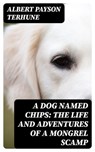 A Dog Named Chips: The Life and Adventures of a Mongrel Scamp - Albert Payson Terhune - 8596547186212