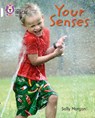 Your Senses - Sally Morgan - 9780007462063