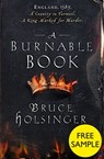 A Burnable Book: Free Sampler - Bruce Holsinger - 9780007577255