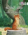 The King of the Forest - Saviour Pirotta - 9780008185688