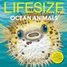 Lifesize Ocean Animals - Sophy Henn - 9780008546410