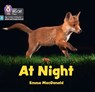 At Night - Emma MacDonald - 9780008668334