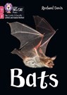 Bats - Rachael Davis - 9780008758080