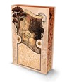 The Ballad of Falling Dragons Deluxe Edition - Sarah A. Parker - 9780008838126
