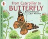 From Caterpillar to Butterfly Big Book - Deborah Heiligman - 9780061119750