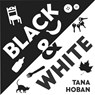 Black & White Board Book - Tana Hoban - 9780061172113