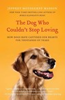 The Dog Who Couldn't Stop Loving - Jeffrey Moussaieff Masson - 9780061771101