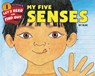 My Five Senses - Aliki - 9780062381910