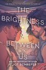 The Brightness Between Us - Eliot Schrefer - 9780063343771