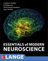 Essentials of Modern Neuroscience - Franklin Amthor ; W. Anne Burton Theibert ; David Standaert ; Erik Roberson - 9780071849050