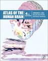 Atlas of the Human Brain - JUERGEN (CLINIC FOR NEUROSURGERY,  Dusseldorf, Germany) K Mai ; Milan (MR-X-Brain GmbH, Dusseldorf, Germany) Majtanik ; George, AO (BA, MA, PhD, DSc), FASSA, FAA (NHMRC Senior Principal, NeuRA) Paxinos - 9780128028001
