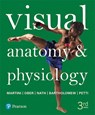 Visual Anatomy & Physiology - Frederic H. Martini ; William C. Ober ; Judi L. Nath ; Edwin F. Bartholomew - 9780134394695