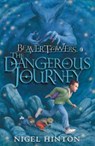 Beaver Towers: The Dangerous Journey - Nigel Hinton - 9780140383881