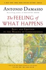 The Feeling of What Happens - Damasio Antonio Damasio - 9780156010757
